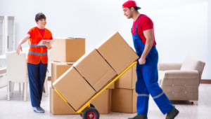 Packers And Movers In Vijayanagar