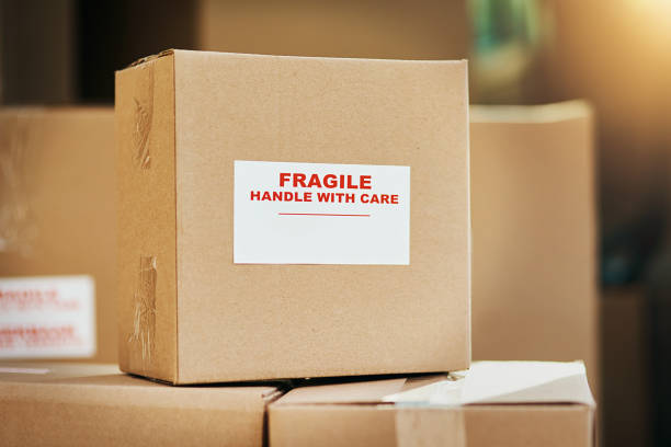 Packers And Movers Bangalore Begur Road