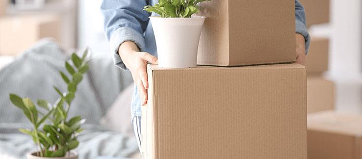 Local Packers And Movers Bangalore