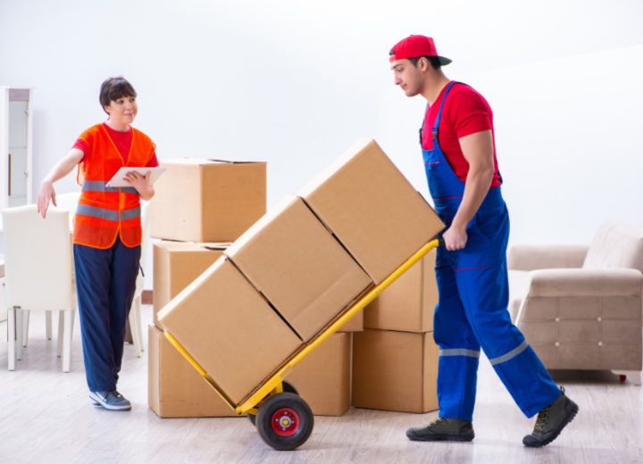 Packers And Movers Bellandur